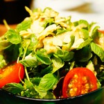 北新地はらみ - 新芽サラダ