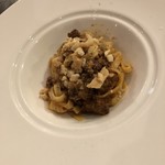 マチェレリーアディタケウチ - 