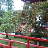 メインダイニングルーム 三笠 - 