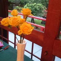 メインダイニングルーム 三笠 - 