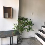 ノコス ア レタージュ - 入るとすぐに素敵な枝もの