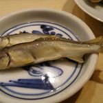 寿司処 しん - 煮 若鮎アユ(魚醤漬け) 2018年05月