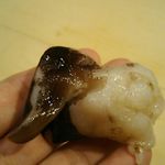 寿司処 しん - にぎり 炙り トリ貝 2018年05月