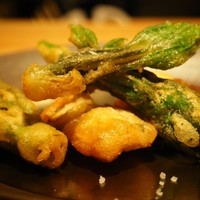 TXOKO - 
