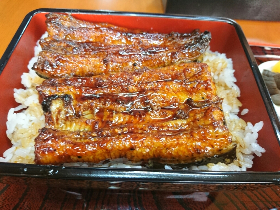 コジマヤ本店 name=