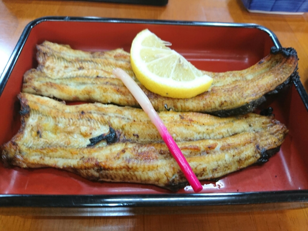 コジマヤ本店 name=