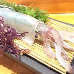 宮崎地鶏・玄海地魚・旨い酒　味蔵とんぼ - ヤリイカ活き造り