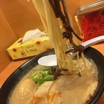 博多 くまちゃんらぁめん - 味玉入りクリーミーとんこつ