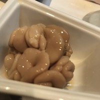 宿木 - 