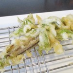 旬彩 天ぷら 心来(しんら） - 山菜の女王 こしあぶら、素晴らしい香りですネ！　　　　　　2018.05.01