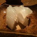 龍吟 - アオリイカ