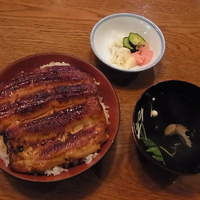 吉寅 - 鰻丼定食