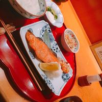伊豆の旬 やんも 南青山店 - 