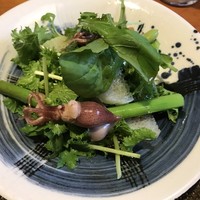 やまと 楽 - 