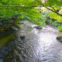 がんこ 高瀬川二条苑 - 高瀬川源流庭苑