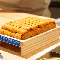 はっこく - ☆蝦夷馬糞雲丹