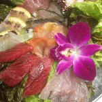 大衆居酒屋 魚菜市庭 プラチナフィッシュ - 