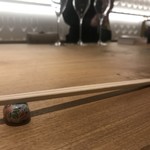 jeune ワインと小鍋 - 