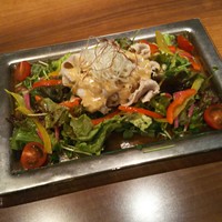 豚しゃぶ せいろ蒸し 豚匠 なんば邸 - 春野菜の豚しゃぶサラダ