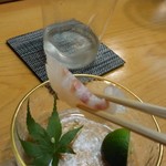 浅草じゅうろく - 鯛昆布〆。リフト(^-^)/
      