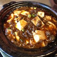 雪梅花 菜根譚 - 
