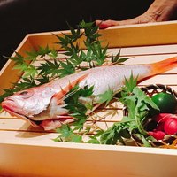 のどぐろ専門 銀座 中俣 - 
