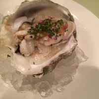 洋食 ヨコオ - 