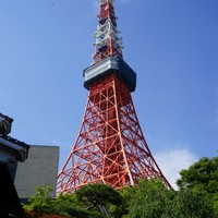 東京 芝 とうふ屋うかい - 敷地内から見上げる東京タワー