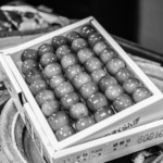 うを徳 - 羽州村山（ではむらやま）"佐藤錦（さたうにしき）"櫻桃（さくらんぼ）