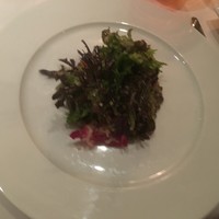 Benoit Alain Ducasse - 