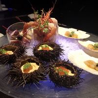 MAIMON GINZA - 