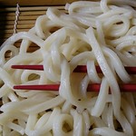 Udon Kamameshi Sanuki - 桜えびのかき揚げ天ざるうどん1210円　麺アップ
