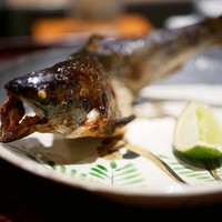 日本料理 晴山 - 天然アマゴ