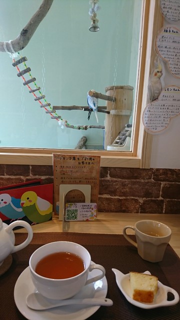 チコズ カフェ（Chiko's Cafe） - 上盛岡（その他）の写真