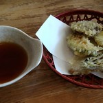 藤ひろ - 野菜天ざる蕎麦