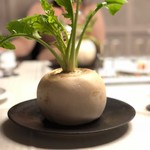 グランド ダイア - 津軽海峡 大間鮪、聖護院かぶら