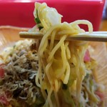 はなさき家 - 麺 リフト