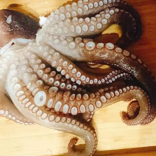 There are various Akashi octopus dishes!