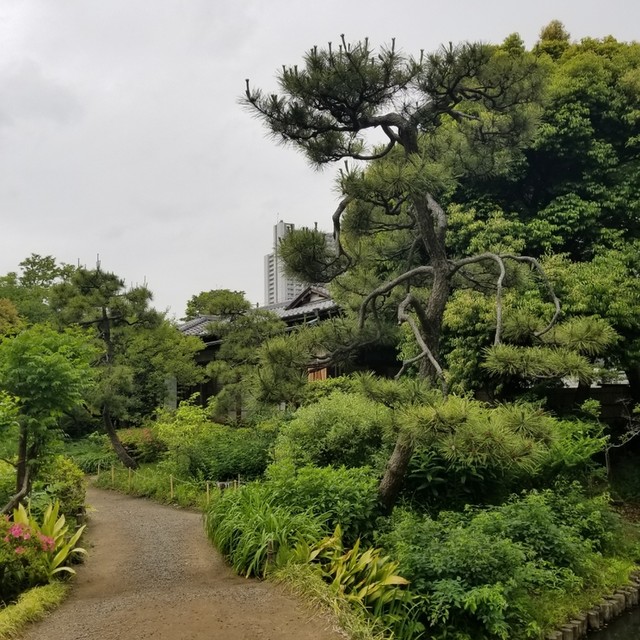 向島百花園のお休み処へ ゚w゚ ノ By 自称独り者グルメ 茶亭さはら 東向島 喫茶店 食べログ 向島百花園のお休み処へ ゚w゚ ノ By 自称独り者グルメ 茶亭さはら 東向島 喫茶店 食べログ