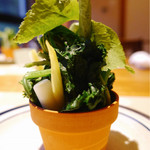 酒の宿 玉城屋 - 松之山の春