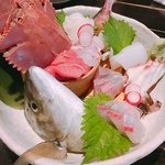 魚店亜紗 - 