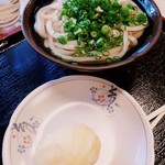 手打十段 うどんバカ一代 - 