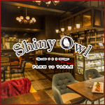 Shiny Owl - 