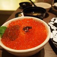 函館うに むらかみ 日本生命札幌ビル店 - 