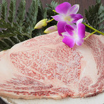 炭火焼肉 朝日亭 - 