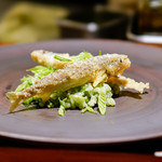 TACUBO - リゾット