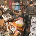 サルメリアロッキュー - 