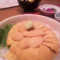 函館うに むらかみ 日本生命札幌ビル店 - うに丼！！