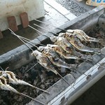 滋賀県南郷水産センター - 炭火にされる鱒