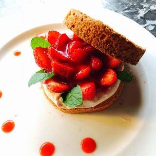 イルカッフェ_1